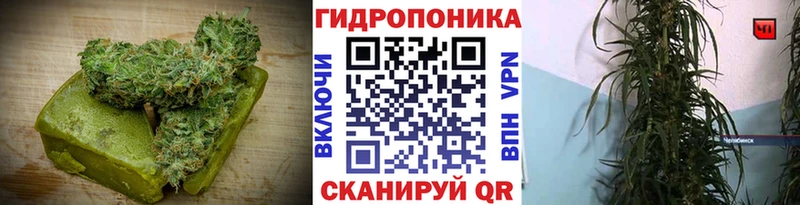 Cannafood конопля  Купить закладки  Лукоянов 