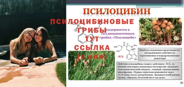 первитин Касимов