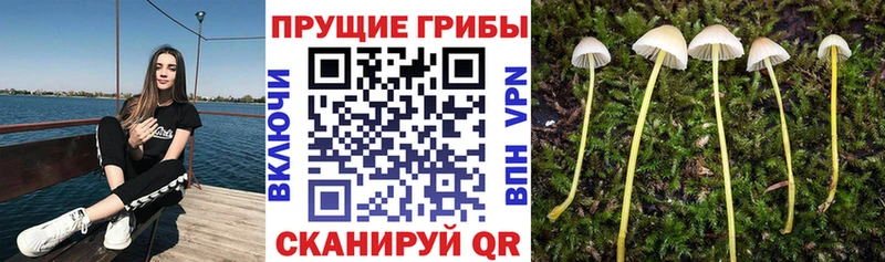 Купить закладки Лукоянов Галлюциногенные грибы мухоморы